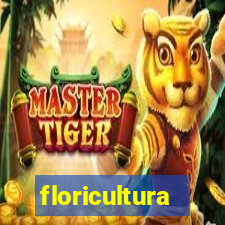 floricultura botafogo rj