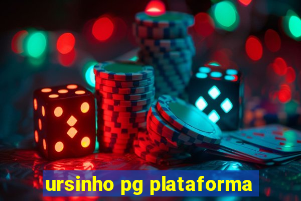 ursinho pg plataforma