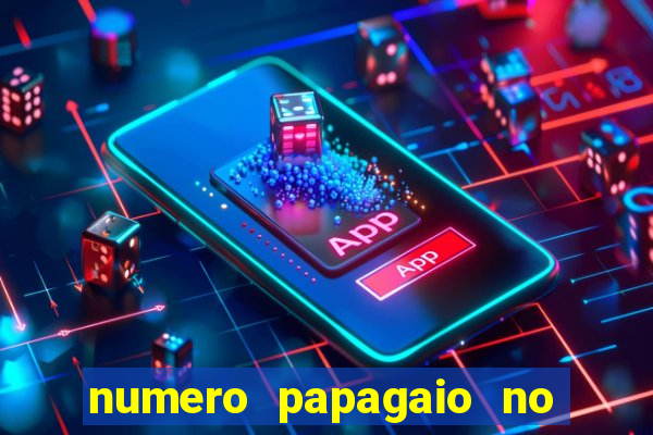 numero papagaio no jogo do bicho