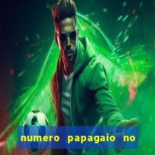 numero papagaio no jogo do bicho