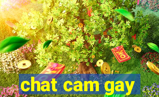 chat cam gay