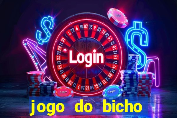 jogo do bicho crash bingo