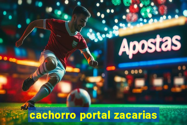 cachorro portal zacarias