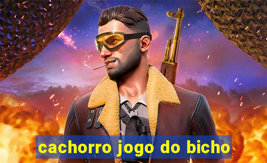 cachorro jogo do bicho