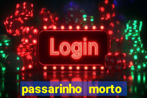 passarinho morto significado espiritual