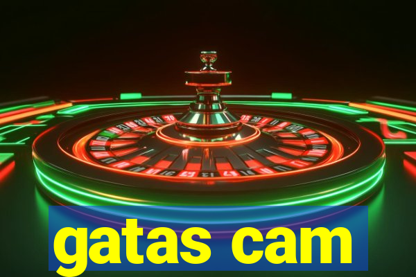 gatas cam