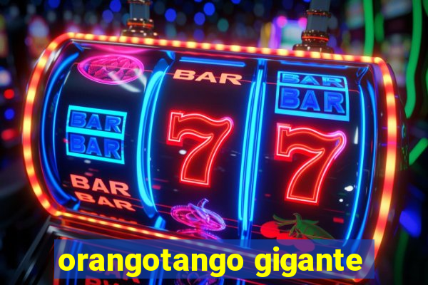 orangotango gigante