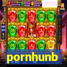 pornhunb