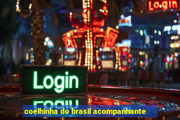 coelhinha do brasil acompanhante