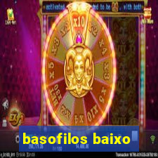 basofilos baixo