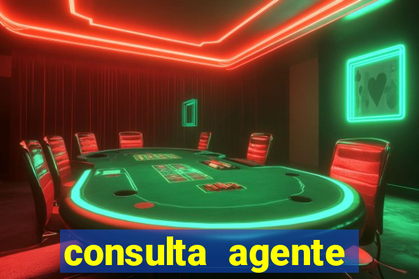 consulta agente autuador sp