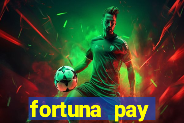 fortuna pay consultoria financeira ltda