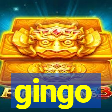 gingo