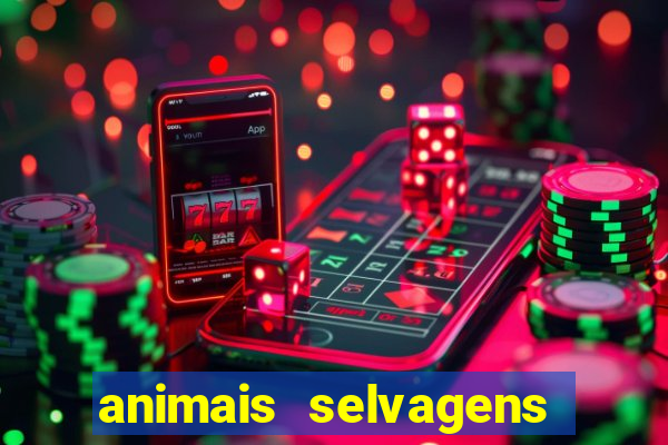 animais selvagens fotos e nomes