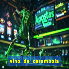 vino de carambola stardew valley