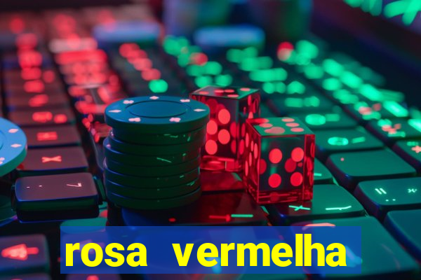 rosa vermelha (letra e cifra)