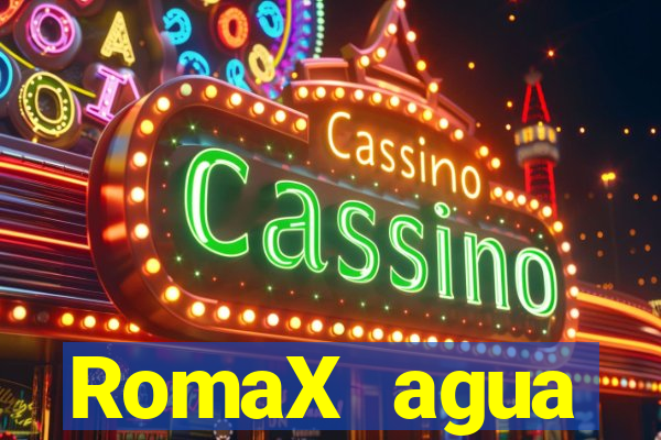 RomaX agua sanitaria fispq agua sanitaria romax