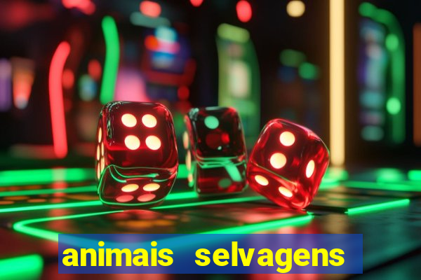 animais selvagens fotos e nomes