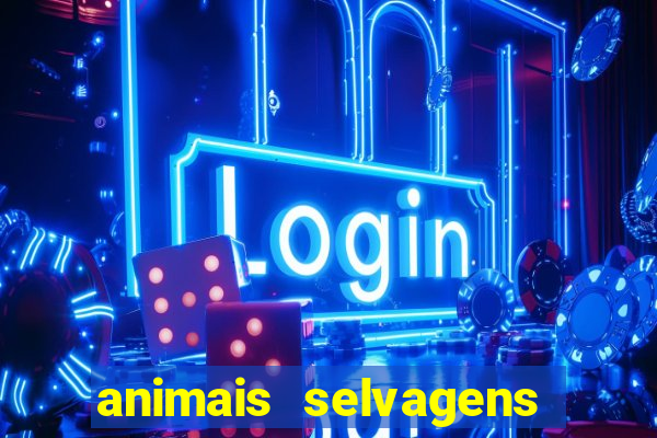 animais selvagens fotos e nomes