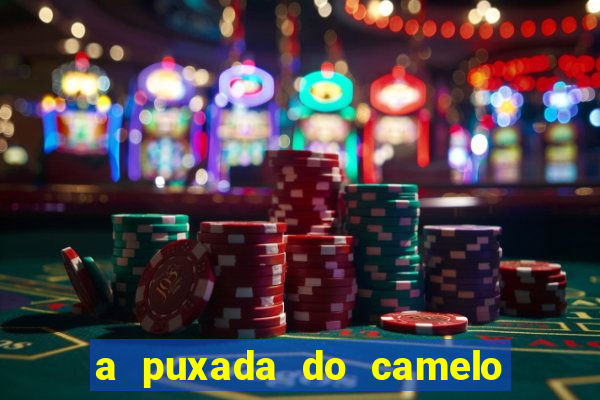 a puxada do camelo no jogo do bicho