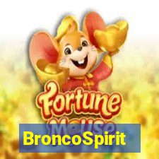 BroncoSpirit