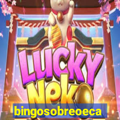 bingosobreoeca