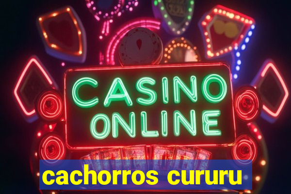 cachorros cururu