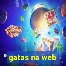 gatas na web