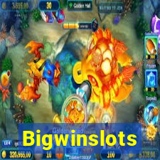 Bigwinslots