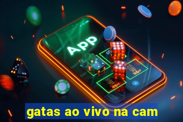 gatas ao vivo na cam