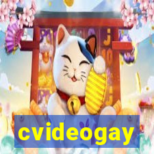 cvideogay
