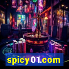 spicy01.com