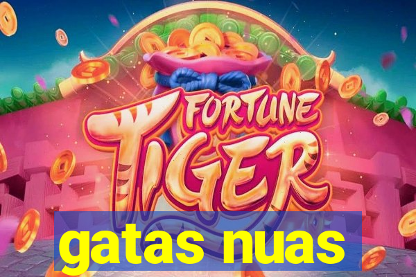 gatas nuas