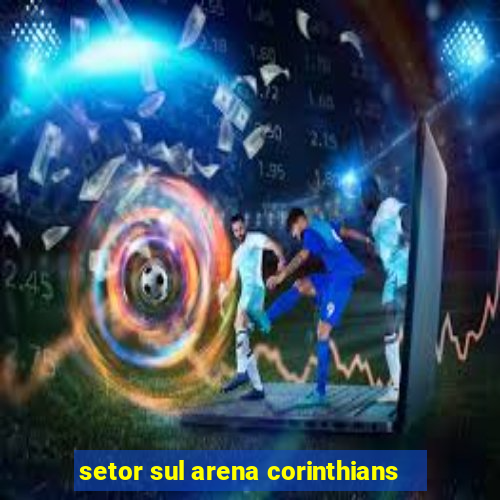 setor sul arena corinthians